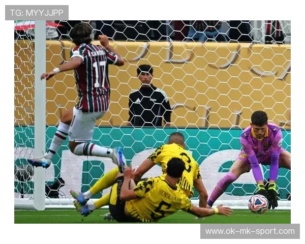 多特门将扑救为球队保住积分