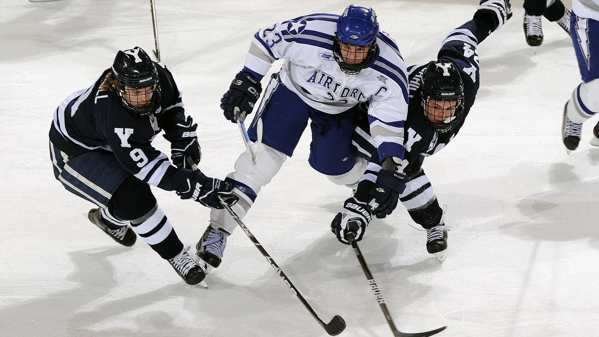 mk体育-体育博物馆新展览回顾本土运动史，体育博物馆展陈工作有哪些