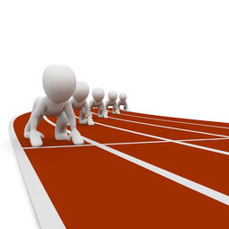 mk sport-体育管理专业学生实习岗位扩展至俱乐部运营，体育管理薪资